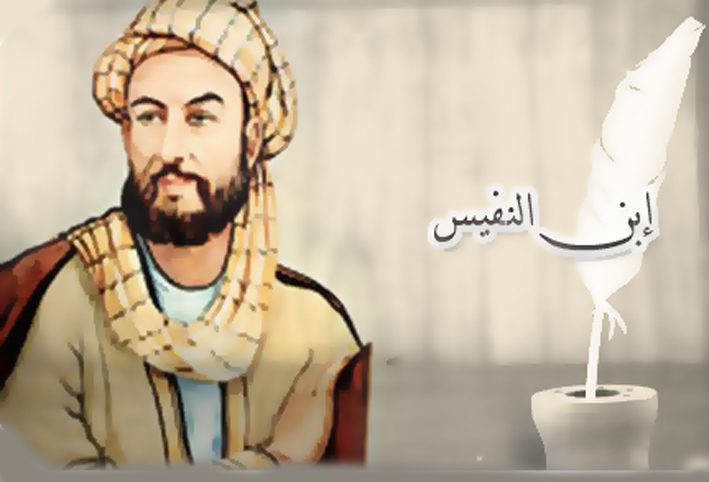ابن النفيس .. أول من اكتشف الدورة الدموية