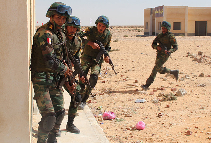 القضاء على 12 من "العناصر التكفيرية" والقبض على 92 في عملية سيناء