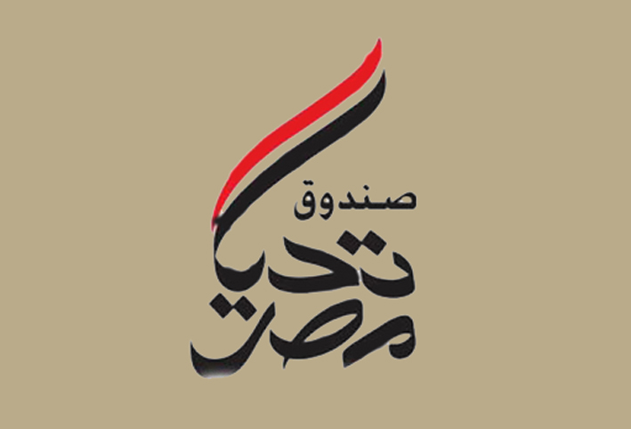تحيا مصر: نعتزم تنفيذ 500 عملية يوميا ضمن حملة نور حياة