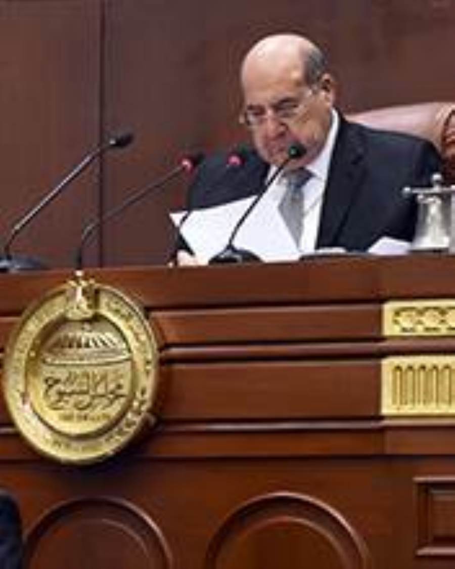 مجلس الشيوخ المصري يقر مشروع لائحته الداخلية نهائيا ويرفعها لرئيس الجمهورية