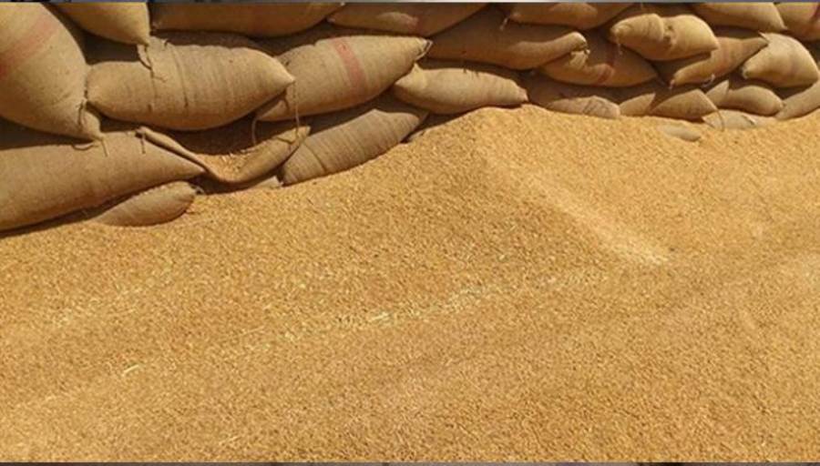  روسيا: نعكف على وضع آلية لتصدير الحبوب إلى مصر بالروبل