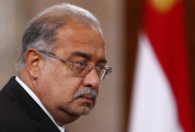 قرار حكومي بتوفيق الأوضاع البيئية لوحدات إنتاج الفحم النباتي