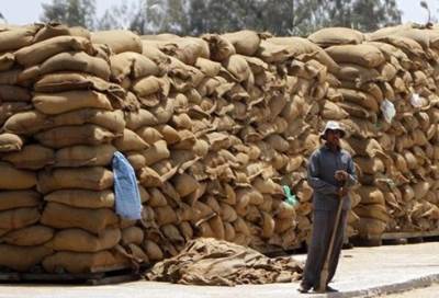 التموين : شراء 3 ملايين طن قمح محلى .. واستمرار التوريد حتى 15 يوليو