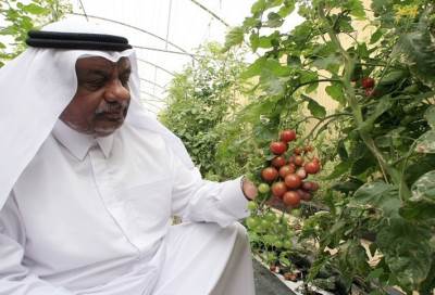 الأزمة الخليجية تفتح أعين الدوحة على أمنها الغذائي