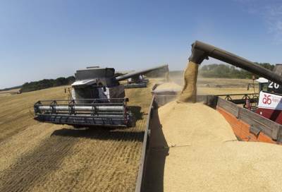 روسيا تجمع نحو 85 مليون طن أقماح