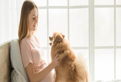 دراسة جديدة تثبت قدرة الكلاب على معرفة مزاج صاحبها!