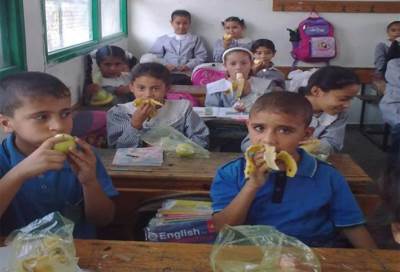 الحكومة تدبر حلاً لتوفير وجبة غذائية تعالج طلاب المدارس من الأنيميا