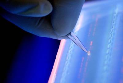 الكشف عن أكثر أنواع السرطان انتشارا في السعودية