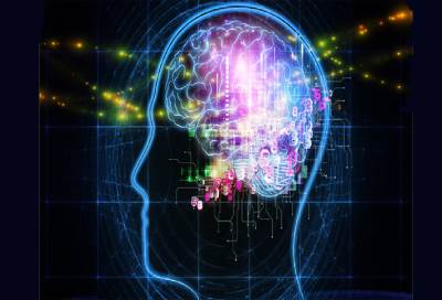 السبب الرئيسي للسمنة في الدماغ البشري