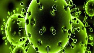 من بيانات 740 ألف مصاب.. الخبراء ينجحون في رصد نقاط ضعف فيروس كورونا