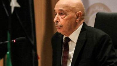  ليبيا.. صالح يلمح لخارطة طريق جديدة وينتقد الخطة الأممية